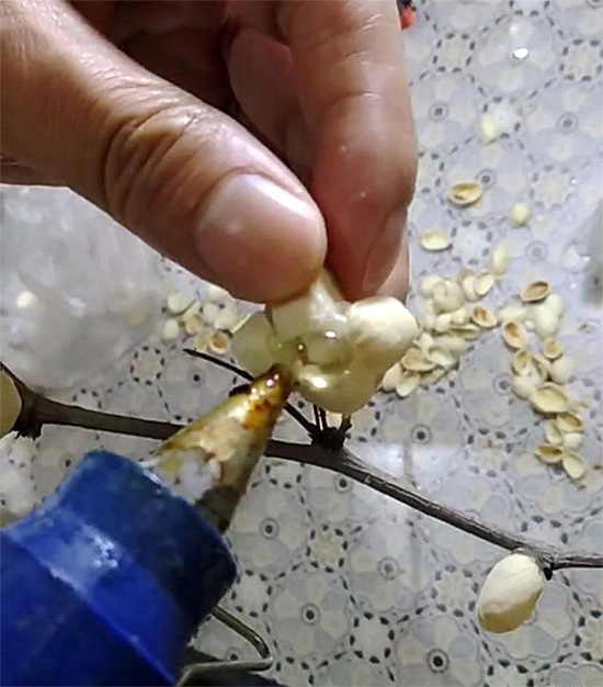 热熔胶的粘性不能完全决定粘合效果